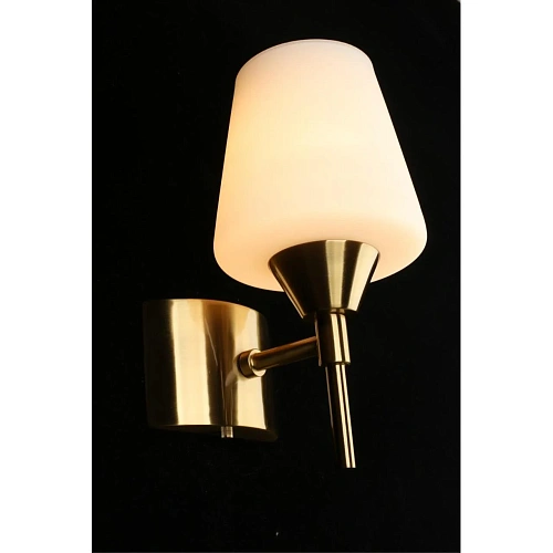 Светильник настенный (Бра) Aployt Lyus APL.840.01.01 Светильник настенный (Бра) Aployt Lyus APL.840.01.01