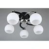 Люстра потолочная Omnilux Caldiero OML-25407-05 Люстра потолочная Omnilux Caldiero OML-25407-05