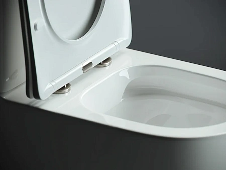 Чаша напольного унитаза Ceramica Nova MIA Rimless CN1801-B белый с сиденьем Чаша напольного унитаза Ceramica Nova MIA Rimless CN1801-B белый с сиденьем