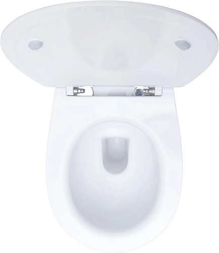 Комплект унитаза Allen Brau Fantasy 4.11004.20/8.9466.0.000.000.1 (00316504) с инсталляцией, белый глянец Комплект унитаза Allen Brau Fantasy 4.11004.20/8.9466.0.000.000.1 (00316504) с инсталляцией, белый глянец