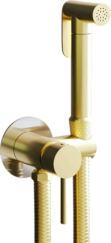 Гигиенический душ RGW Shower Panels SP-211Gb золото brush Гигиенический душ RGW Shower Panels SP-211Gb золото brush