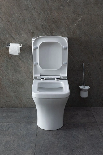 Чаша напольного унитаза Allen Brau Infinity 4.21012.20 с крышкой, белый глянец Чаша напольного унитаза Allen Brau Infinity 4.21012.20 с крышкой, белый глянец