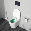 Унитаз подвесной AM.PM Sunny C85C1701SC Flashclean с сиденьем микролифт Унитаз подвесной AM.PM Sunny C85C1701SC Flashclean с сиденьем микролифт