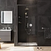 Душевая дверь AM.PM Gem W90G-100-1-195BT 100х195, стекло прозрачное, профиль черный матовый Душевая дверь AM.PM Gem W90G-100-1-195BT 100х195, стекло прозрачное, профиль черный матовый