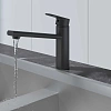Смеситель для кухни Aquatek НИКА AQ1880MB черный матовый Смеситель для кухни Aquatek НИКА AQ1880MB черный матовый