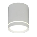 Светильник встраиваемый-накладной Omnilux Capurso OML-102409-05 Светильник встраиваемый-накладной Omnilux Capurso OML-102409-05