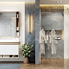 Душевая перегородка Ambassador Walk-in 1 (900x2000) Душевая перегородка Ambassador Walk-in 1 (900x2000)