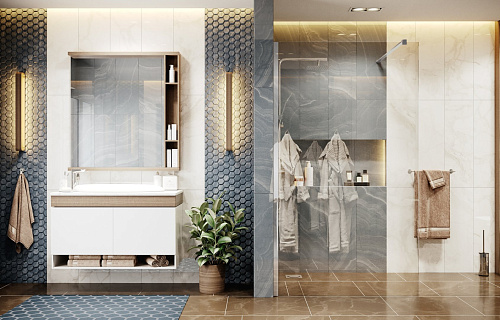 Душевая перегородка Ambassador Walk-in 1 (900x2000) Душевая перегородка Ambassador Walk-in 1 (900x2000)