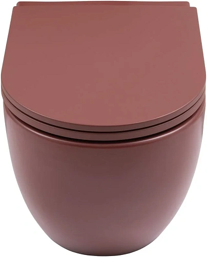 Унитаз подвесной Allen Brau Reality 4.32015.BD сиденье с микролифт бордо Унитаз подвесной Allen Brau Reality 4.32015.BD сиденье с микролифт бордо