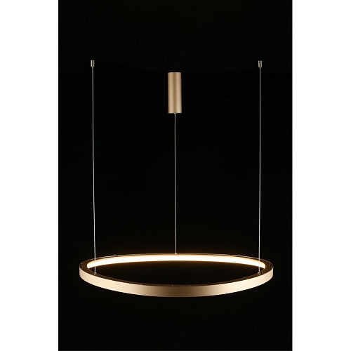 Люстра подвесная Aployt Zula APL.022.03.60 Люстра подвесная Aployt Zula APL.022.03.60