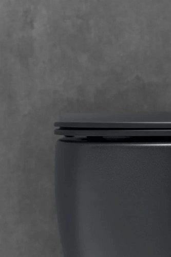 Унитаз подвесной Allen Brau Fantasy 4.11004.31 без сиденья Унитаз подвесной Allen Brau Fantasy 4.11004.31 без сиденья