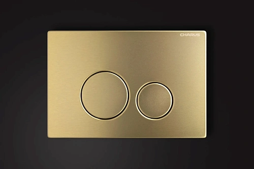 Клавиша смыва CHARUS ROBUSTO FP.330.BTG.05 брашированное золото Клавиша смыва CHARUS ROBUSTO FP.330.BTG.05 брашированное золото