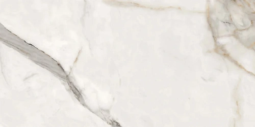 Керамогранит Neodom Belvedere Alpe Di Siusi Polished 60x120 CV20311 Керамогранит Neodom Belvedere Alpe Di Siusi Polished 60x120 CV20311