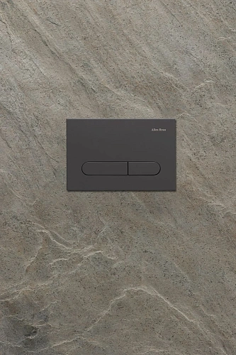 Клавиша смыва Allen Brau Project Color 9.2PR01.AN антрацит Клавиша смыва Allen Brau Project Color 9.2PR01.AN антрацит