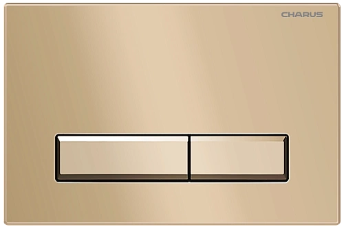Клавиша смыва CHARUS RAIDEN FP.321.51.01 матовый песок Клавиша смыва CHARUS RAIDEN FP.321.51.01 матовый песок