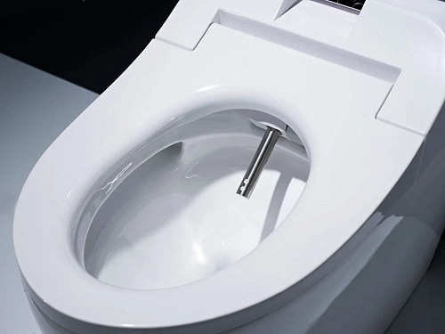 Унитаз SMART Timo ТЕ-721 (690x400x540) напольный с функцией биде Унитаз SMART Timo ТЕ-721 (690x400x540) напольный с функцией биде