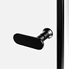 Душевая дверь NEW TRENDY NEW SOLEO BLACK одинарные 70x195 D-0275A (черный) Душевая дверь NEW TRENDY NEW SOLEO BLACK одинарные 70x195 D-0275A (черный)