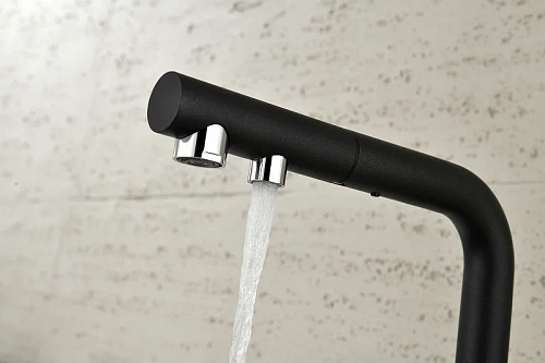 Смеситель для кухни Paulmark SERPENTINE черный Se213222-BLM Смеситель для кухни Paulmark SERPENTINE черный Se213222-BLM