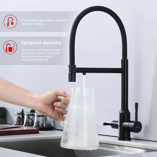 Смеситель для кухни Raglo R81.63.06 с гибким изливом с подключением к фильтру, черный Смеситель для кухни Raglo R81.63.06 с гибким изливом с подключением к фильтру, черный
