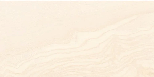 Плитка керамическая Laparet Frame 20x40 00-00-1-08-00-11-1368 х9999208021 Плитка керамическая Laparet Frame 20x40 00-00-1-08-00-11-1368 х9999208021