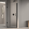 Душевая дверь RGW Passage PA-06B 600 мм Easy Clean черный 41080606-14 Душевая дверь RGW Passage PA-06B 600 мм Easy Clean черный 41080606-14