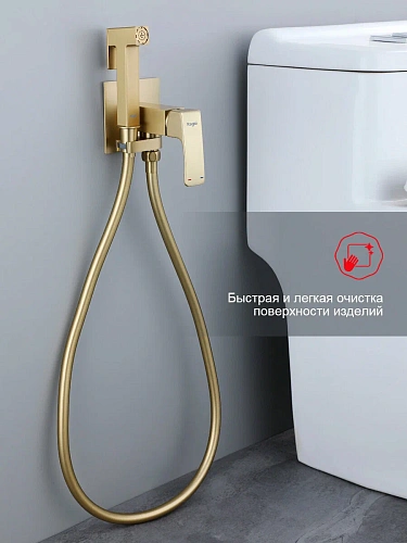 Гигиенический душ Raglo R02.54.03 встраиваемый, сатин золотой Гигиенический душ Raglo R02.54.03 встраиваемый, сатин золотой