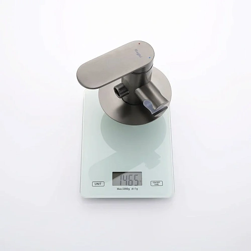 Гигиенический душ Raglo R10.52.09 встраиваемый, графит Гигиенический душ Raglo R10.52.09 встраиваемый, графит