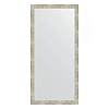 Зеркало в багетной раме Evoform Definite BY 3332 74 x 154 см, алюминий Зеркало в багетной раме Evoform Definite BY 3332 74 x 154 см, алюминий