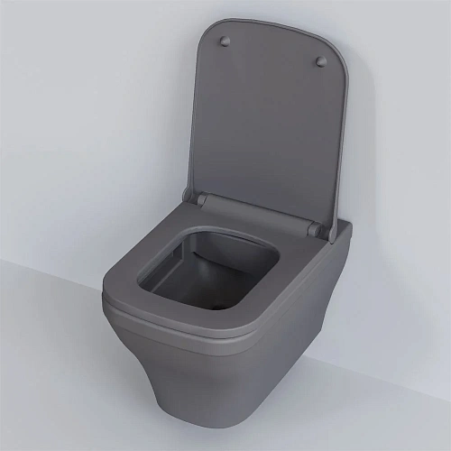 Крышка-сиденье Ambassador Benefit 202T20301S (тонкое) серое матовое Крышка-сиденье Ambassador Benefit 202T20301S (тонкое) серое матовое