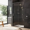 Душевая дверь AM.PM Gem W90G-110-1-195BT 110х195, стекло прозрачное, профиль черный матовый Душевая дверь AM.PM Gem W90G-110-1-195BT 110х195, стекло прозрачное, профиль черный матовый