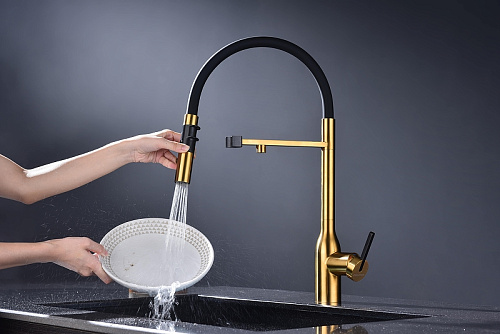 Смеситель для кухни Paulmark Magneto One брашированное золото Ma213188-BG Смеситель для кухни Paulmark Magneto One брашированное золото Ma213188-BG