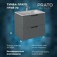 Тумба под раковину PRATO Прато т18-70 под раковину Прато МАТ 240 03-18070-16 00 ГР темно-серый матовый Тумба под раковину PRATO Прато т18-70 под раковину Прато МАТ 240 03-18070-16 00 ГР темно-серый матовый