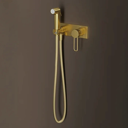 Гигиенический душ IDDIS Duna (DUNMGV0i08) матовое золото Гигиенический душ IDDIS Duna (DUNMGV0i08) матовое золото