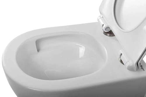 Унитаз подвесной BelBagno SFERA-TOR BB046CH-TOR/BB2111SC безободковый с сиденьем Унитаз подвесной BelBagno SFERA-TOR BB046CH-TOR/BB2111SC безободковый с сиденьем