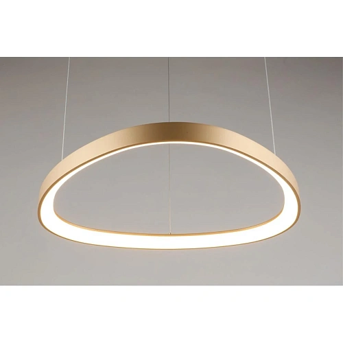 Люстра подвесная Aployt Zula APL.022.03.48 Люстра подвесная Aployt Zula APL.022.03.48