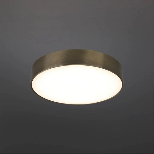 Светильник настенно-потолочный Aployt Evon APL.0114.29.24 Светильник настенно-потолочный Aployt Evon APL.0114.29.24