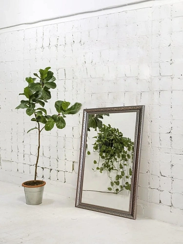 Зеркало SILVER MIRRORS 410x610 Эфес (ФР-00000923) Зеркало SILVER MIRRORS 410x610 Эфес (ФР-00000923)