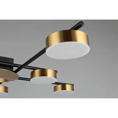 Люстра потолочная Aployt Delayn APL.042.07.56 Люстра потолочная Aployt Delayn APL.042.07.56