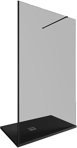 Душевая перегородка Allen Brau Infinity 1 120 3.21022.BBA.T черный брашированный Душевая перегородка Allen Brau Infinity 1 120 3.21022.BBA.T черный брашированный