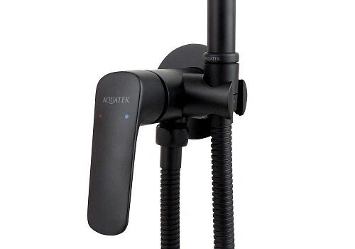Гигиенический душ Aquatek ВЕГА AQ1019MB черный матовый Гигиенический душ Aquatek ВЕГА AQ1019MB черный матовый