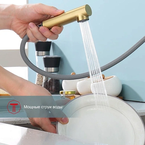 Смеситель для кухни Raglo R86.49.03 с выдвижным изливом, золотой сатин Смеситель для кухни Raglo R86.49.03 с выдвижным изливом, золотой сатин
