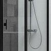 Душевая дверь Allen Brau Priority 100 3.31030.BBA черный браш Душевая дверь Allen Brau Priority 100 3.31030.BBA черный браш