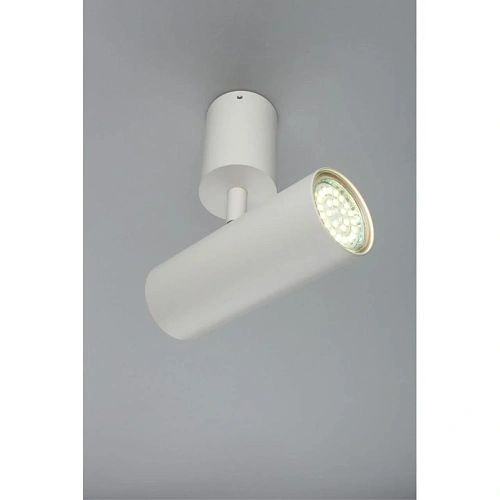 Светильник настенно-потолочный Aployt Berenis APL.007.02.01 Светильник настенно-потолочный Aployt Berenis APL.007.02.01