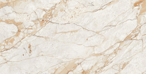 Керамогранит Neodom Ambassador Rosalia Glossy 60x120 CV20196 Керамогранит Neodom Ambassador Rosalia Glossy 60x120 CV20196