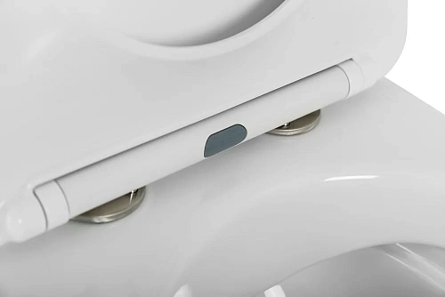 Унитаз подвесной CEZARES COMFORT CZR-191-TH/CZR-2316-SC безободковый с сиденьем Унитаз подвесной CEZARES COMFORT CZR-191-TH/CZR-2316-SC безободковый с сиденьем