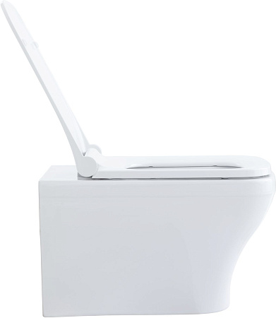 Унитаз подвесной Allen Brau Infinity 4.21011.20 с крышкой, белый глянец