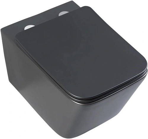 Унитаз подвесной Aquanet Rimless Tavr-W BL-103N-WHT black черный матовый TAVR-W BW с сиденьем Унитаз подвесной Aquanet Rimless Tavr-W BL-103N-WHT black черный матовый TAVR-W BW с сиденьем