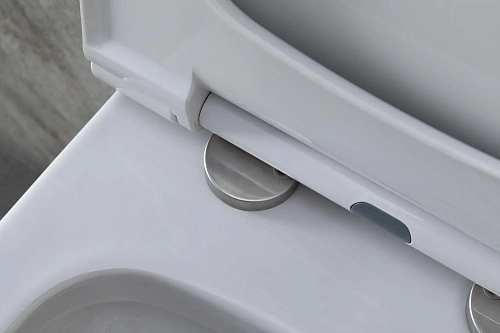 Комплект унитаза Allen Brau Priority 4.31002.20/8.9466.0.000.000.1 (00316509) с инсталляцией, белый глянец Комплект унитаза Allen Brau Priority 4.31002.20/8.9466.0.000.000.1 (00316509) с инсталляцией, белый глянец