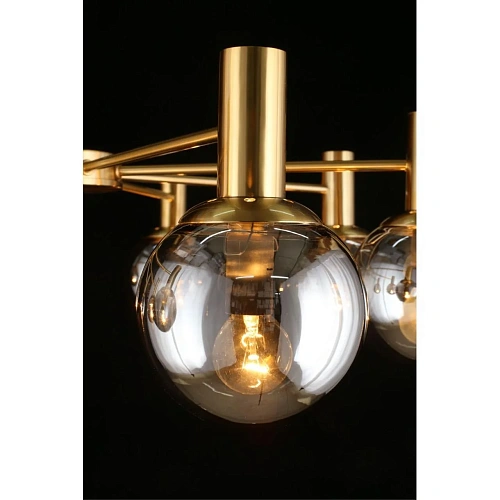 Люстра потолочная Aployt Genia APL.610.07.08 Люстра потолочная Aployt Genia APL.610.07.08