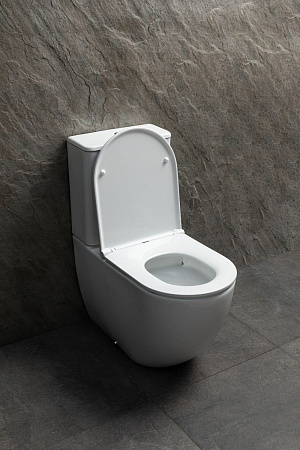 Чаша напольного унитаза Allen Brau Priority Tornado 4.31006.20 с крышкой, белый глянец